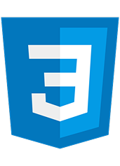 CSS logo